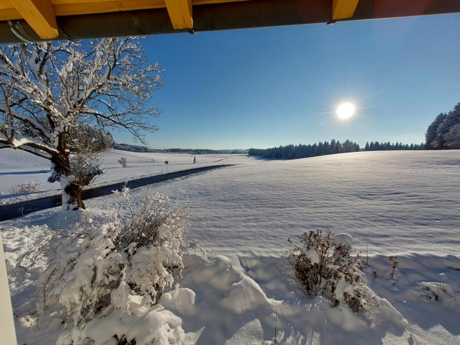 Leutkirch im Allgäu Allgaeu Bergblick מראה חיצוני תמונה